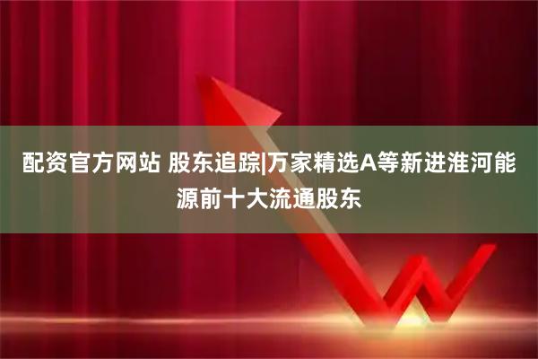 配资官方网站 股东追踪|万家精选A等新进淮河能源前十大流通股东