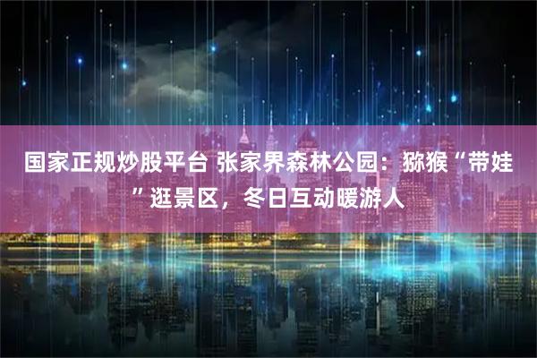 国家正规炒股平台 张家界森林公园：猕猴“带娃”逛景区，冬日互动暖游人