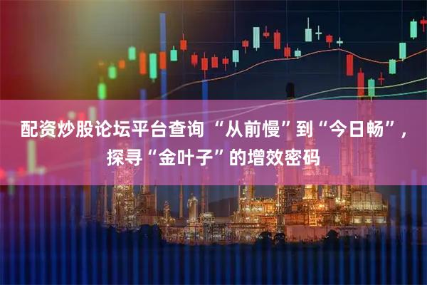 配资炒股论坛平台查询 “从前慢”到“今日畅”，探寻“金叶子”的增效密码