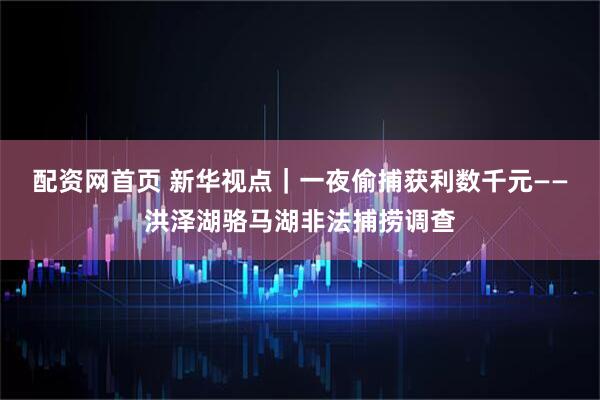 配资网首页 新华视点｜一夜偷捕获利数千元——洪泽湖骆马湖非法捕捞调查