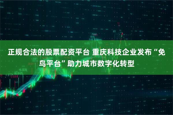 正规合法的股票配资平台 重庆科技企业发布“免鸟平台”助力城市数字化转型