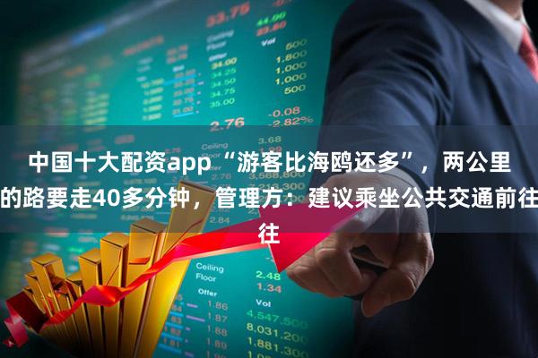 中国十大配资app “游客比海鸥还多”，两公里的路要走40多分钟，管理方：建议乘坐公共交通前往