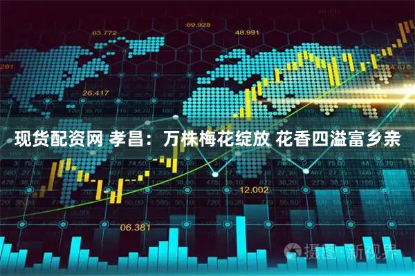现货配资网 孝昌：万株梅花绽放 花香四溢富乡亲