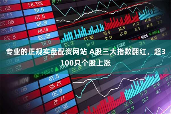 专业的正规实盘配资网站 A股三大指数翻红，超3100只个股上涨