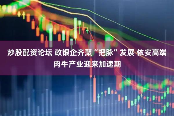 炒股配资论坛 政银企齐聚“把脉”发展 依安高端肉牛产业迎来加速期