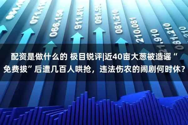 配资是做什么的 极目锐评|近40亩大葱被造谣“免费拔”后遭几百人哄抢，违法伤农的闹剧何时休？